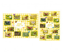 살랑살랑 다양한 나비