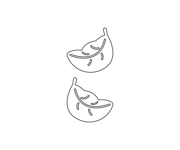 낙엽 색칠 모음