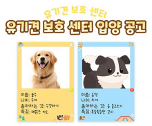 유기견 보호 센터 입양 공고