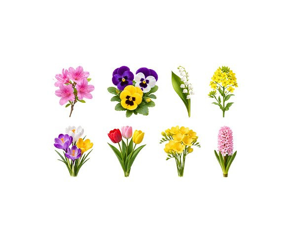 꽃