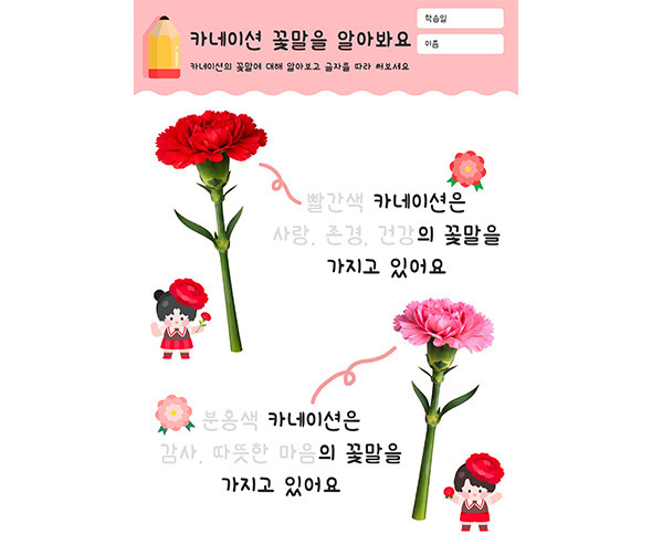 카네이션 꽃말을 알아봐요