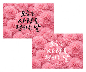 어버이날 카네이션 배경