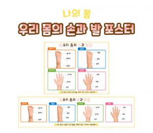 우리 몸의 손과 발 포스터