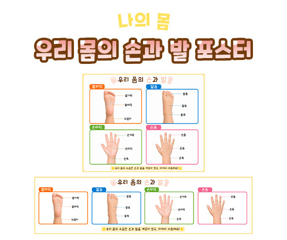 우리 몸의 손과 발 포스터