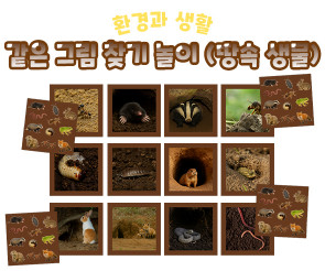 같은 그림 찾기 놀이 (땅속 생물)