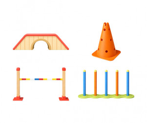 강아지 어질리티 기구