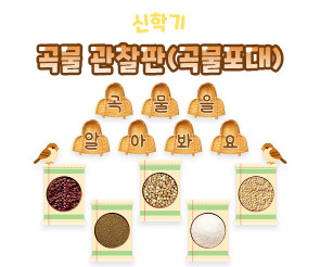 곡물 관찰판 (곡물포대)