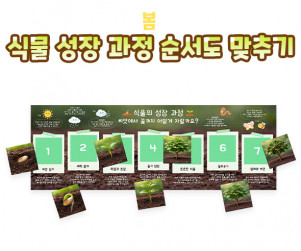 식물 성장 과정 순서도 맞추기