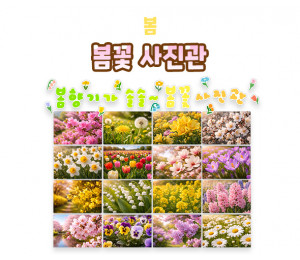 봄꽃 사진관