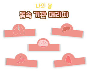 몸속 기관 머리띠