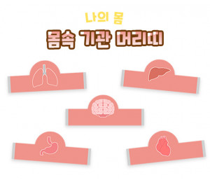 몸속 기관 머리띠