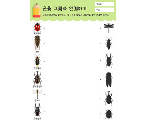 곤충 그림자 연결하기
