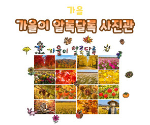 가을이 알록달록 사진관