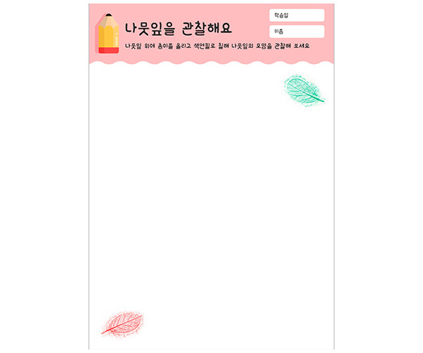 나뭇잎을 관찰해요