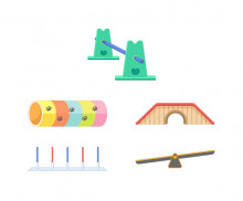 강아지 어질리티 기구