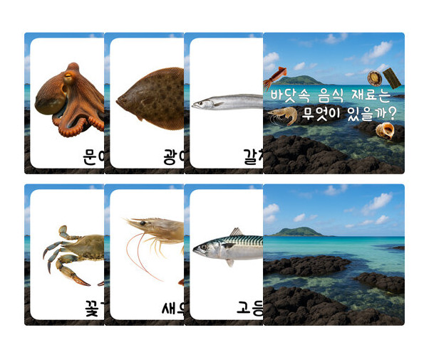 바닷속 음식 재료는 무엇이 있을까 카드