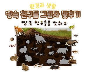 땅속 친구들 그림자 맞추기