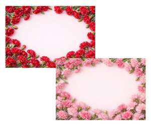 어버이날 카네이션 배경