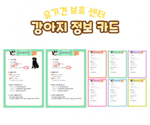 강아지 정보 카드