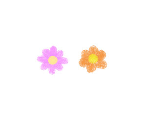 꽃