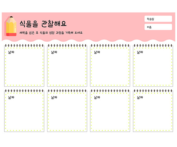 식물을 관찰해요