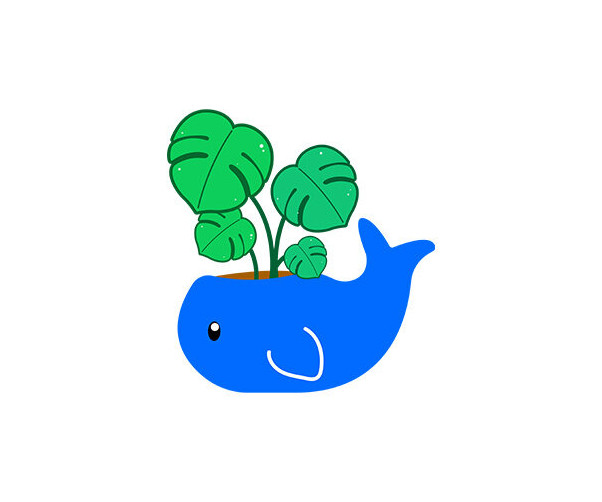 고래 화분