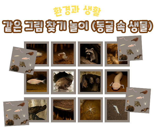 같은 그림 찾기 놀이 (동굴 속 생물)