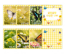살랑살랑 다양한 나비 카드