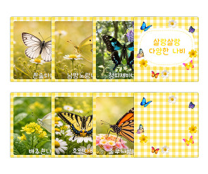 살랑살랑 다양한 나비 카드