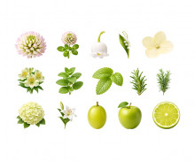 연두색 꽃, 과일