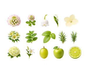 연두색 꽃, 과일