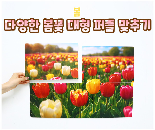 다양한 봄꽃 대형 퍼즐 맞추기