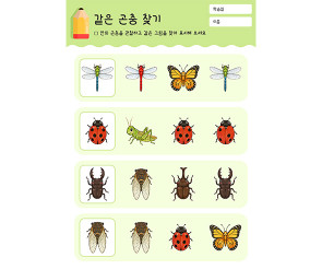 같은 곤충 찾기