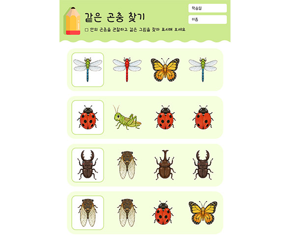같은 곤충 찾기