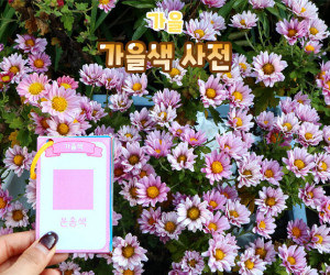 가을색 사전
