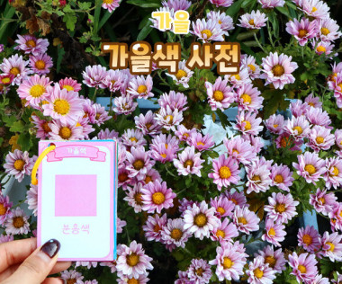 가을색 사전