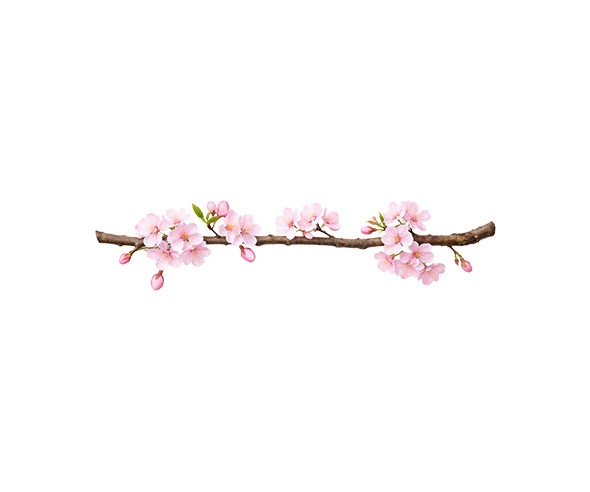 벚꽃 나뭇가지