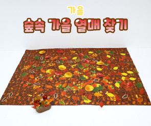 숲속 가을 열매 찾기