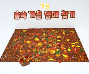 숲속 가을 열매 찾기