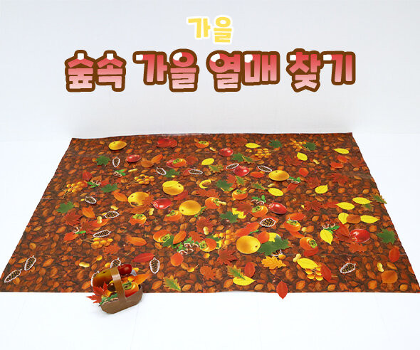 숲속 가을 열매 찾기