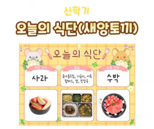 오늘의 식단 (새앙토끼)
