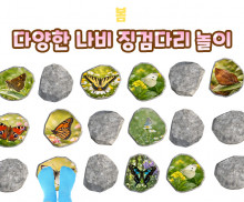 다양한 나비 징검다리 놀이