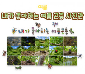 내가 좋아하는 여름 곤충 사진관