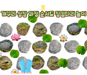 개구리 성장 과정 순서도 징검다리 놀이
