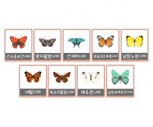 나비 액자