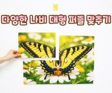 다양한 나비 대형 퍼즐 맞추기