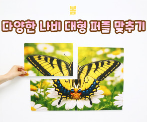 다양한 나비 대형 퍼즐 맞추기