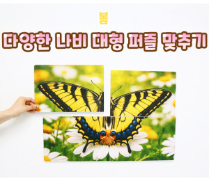 다양한 나비 대형 퍼즐 맞추기