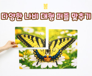다양한 나비 대형 퍼즐 맞추기