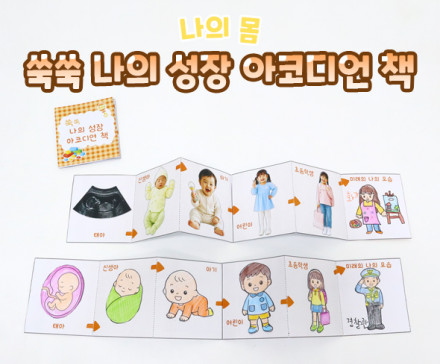 쑥쑥 나의 성장 아코디언 책